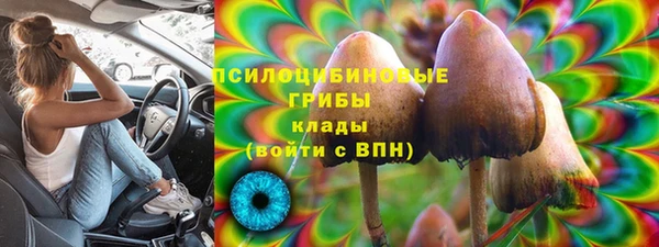 PSILOCYBIN Балабаново